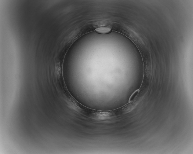 X0000116880085200912221434