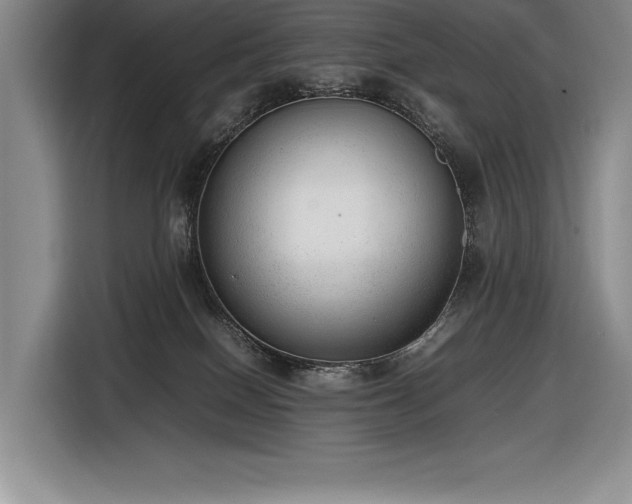 X0000116880086200912221434