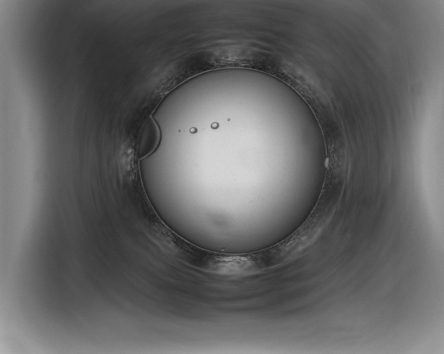 X0000116880087200912221434