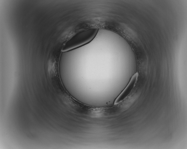 X0000116880088200912221434