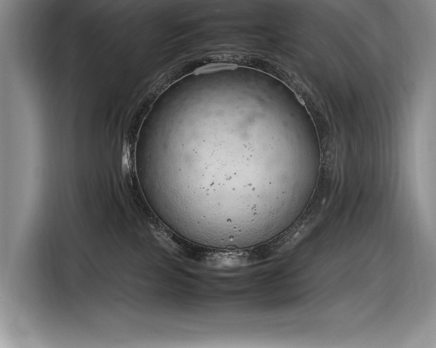 X0000116880089200912221434