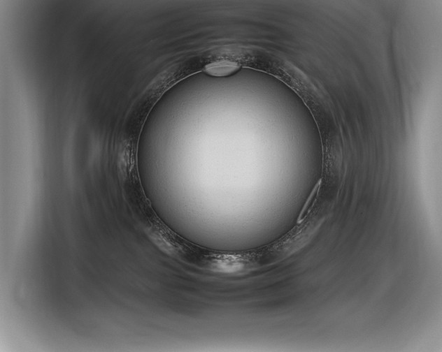 X0000116880091200912221434