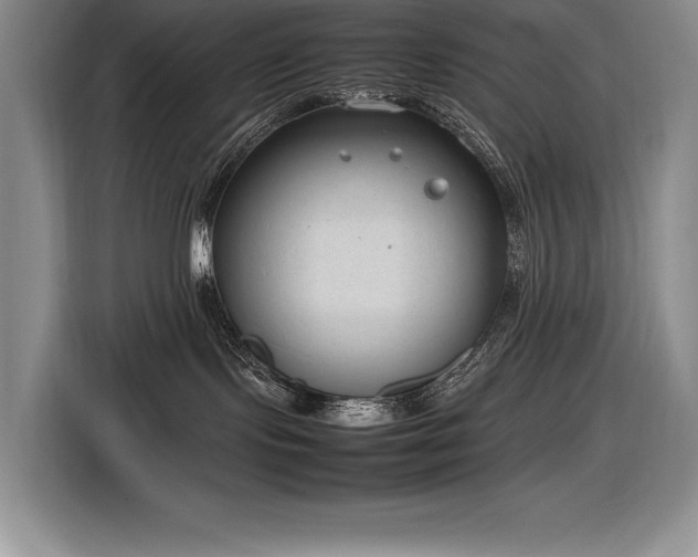 X0000116880095200912221434