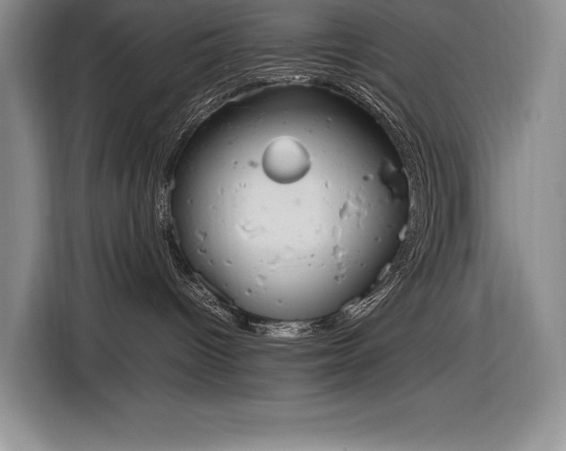 X0000116880096200912221434