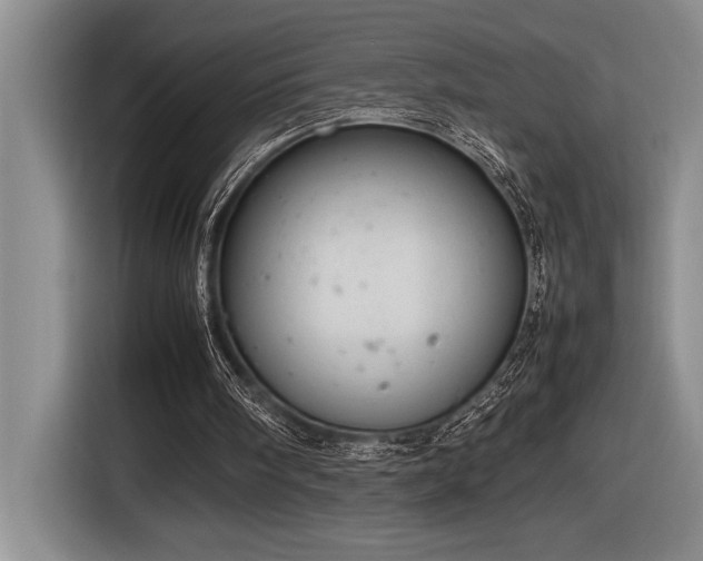 X0000116880098200912221433