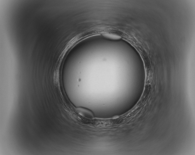 X0000116880099200912221433