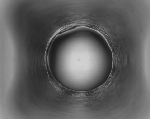 X0000116880100200912221433