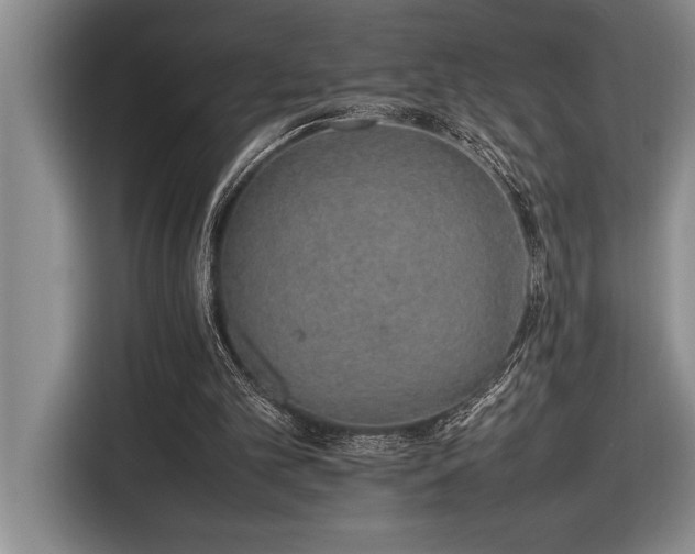 X0000116880101200912221433