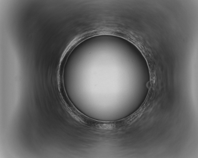 X0000116880102200912221433