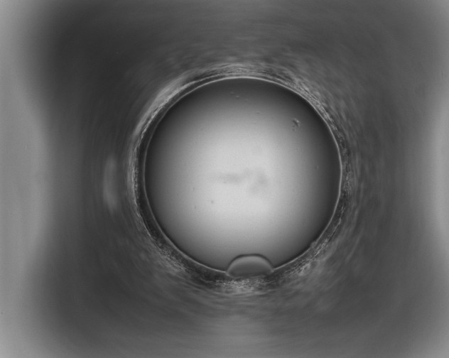 X0000116880103200912221433