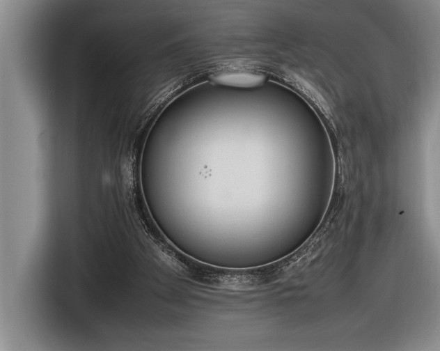 X0000116880105200912221433