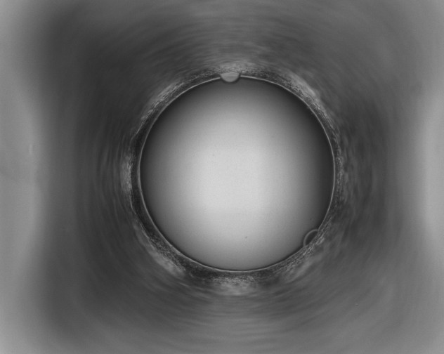 X0000116880106200912221433