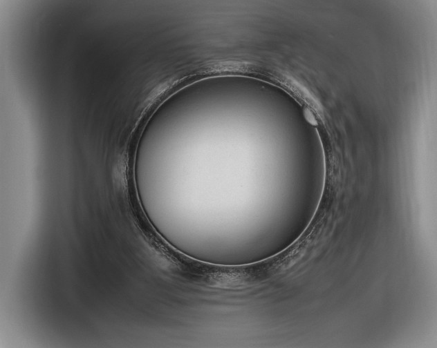 X0000116880107200912221433