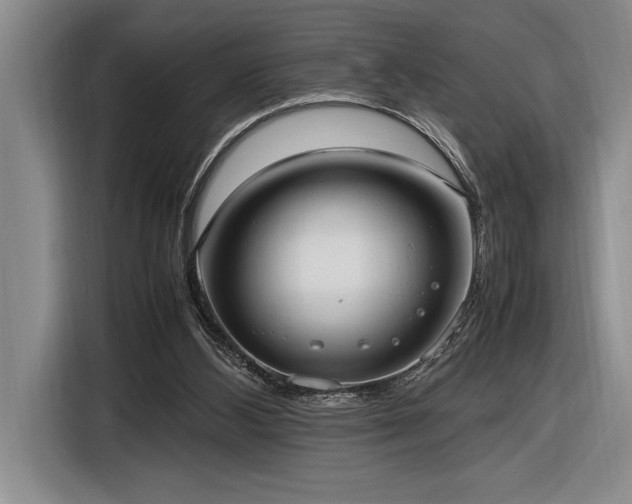 X0000116880108200912221433