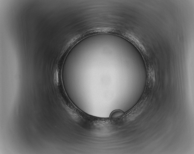 X0000116880110200912221433