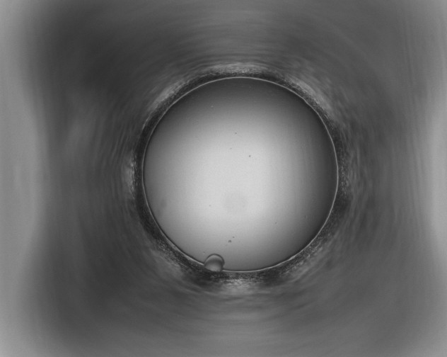 X0000116880111200912221433