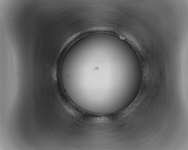 X0000116880112200912221433