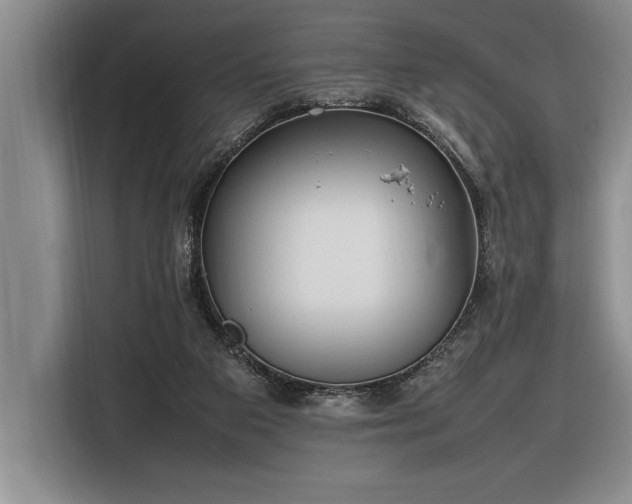 X0000116880113200912221433