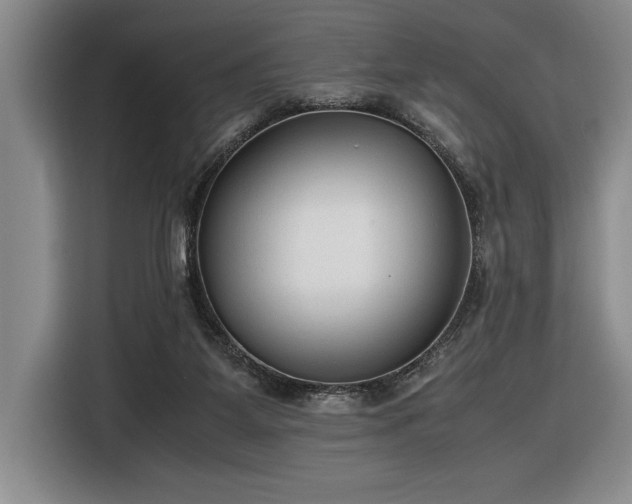 X0000116880115200912221433