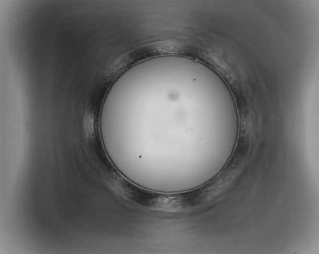 X0000116880117200912221433