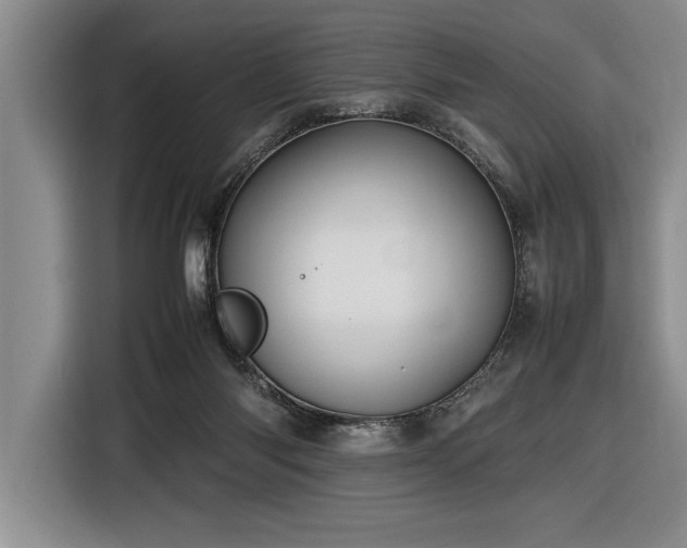 X0000116880118200912221433