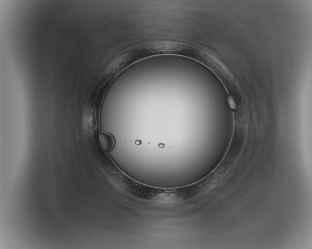 X0000116880119200912221433