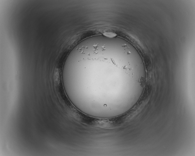 X0000116880121200912221433