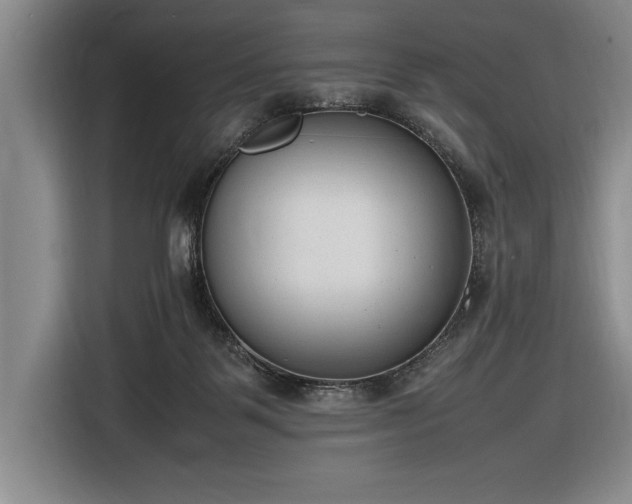 X0000116880123200912221433