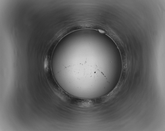 X0000116880124200912221433