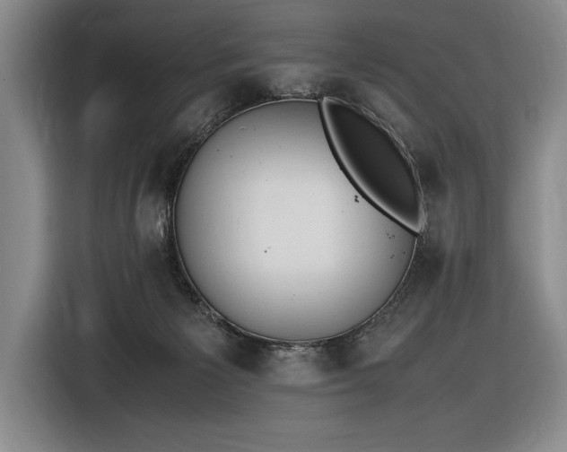 X0000116880125200912221433
