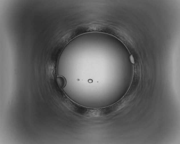 X0000116880127200912221433
