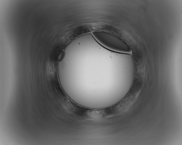 X0000116880129200912221433