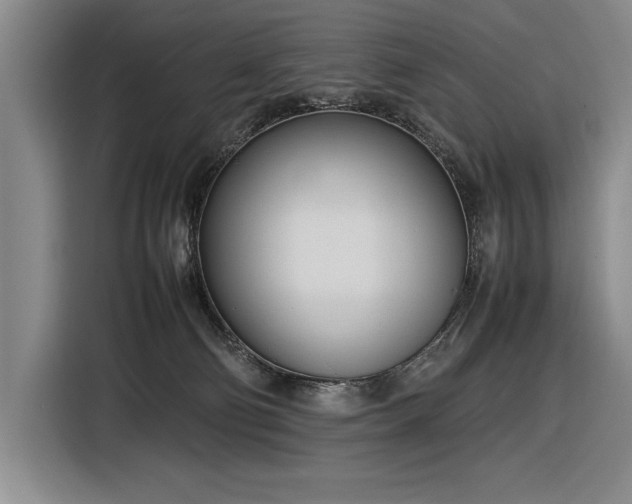 X0000116880130200912221433