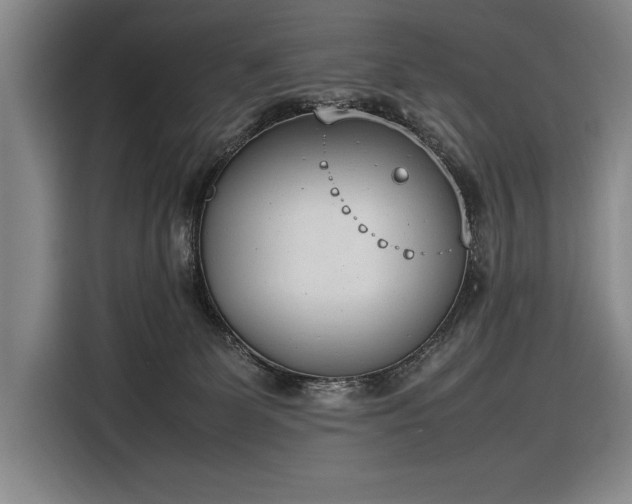 X0000116880131200912221433