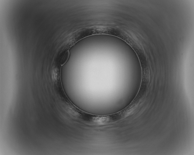 X0000116880135200912221433