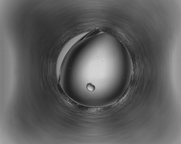 X0000116880136200912221433