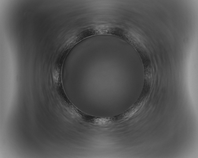 X0000116880139200912221433