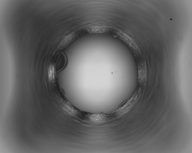 X0000116880142200912221433