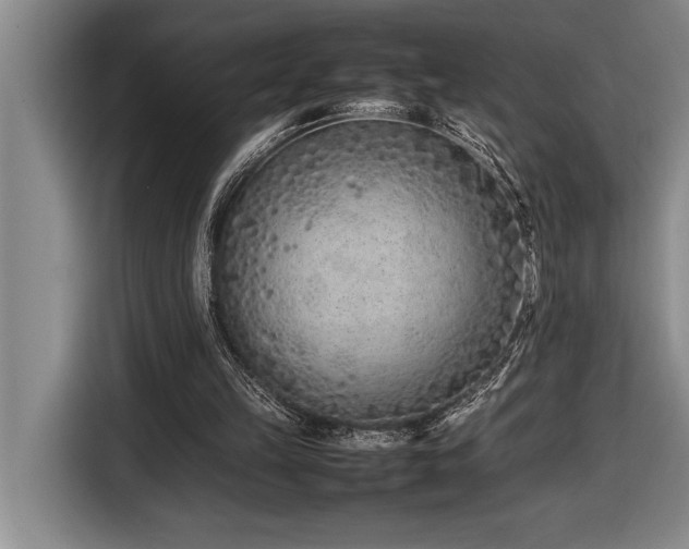 X0000116880149200912221432