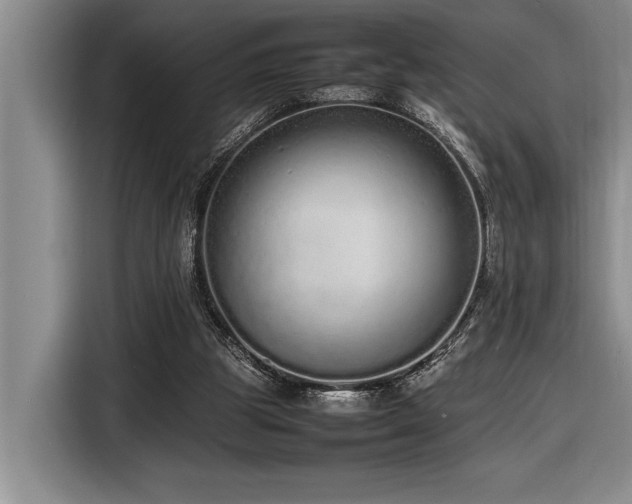 X0000116880153200912221432