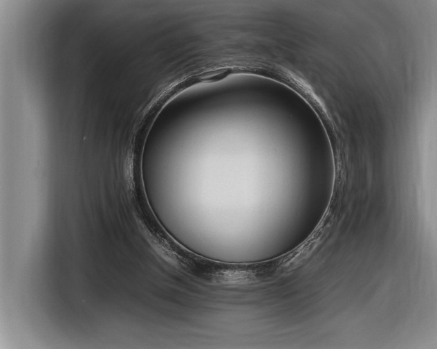 X0000116880154200912221432