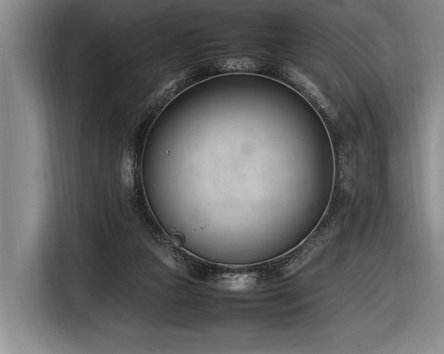 X0000116880161200912221432
