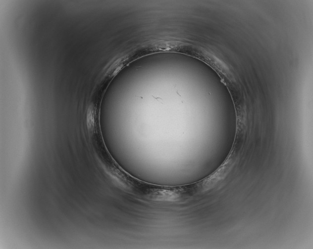 X0000116880166200912221432