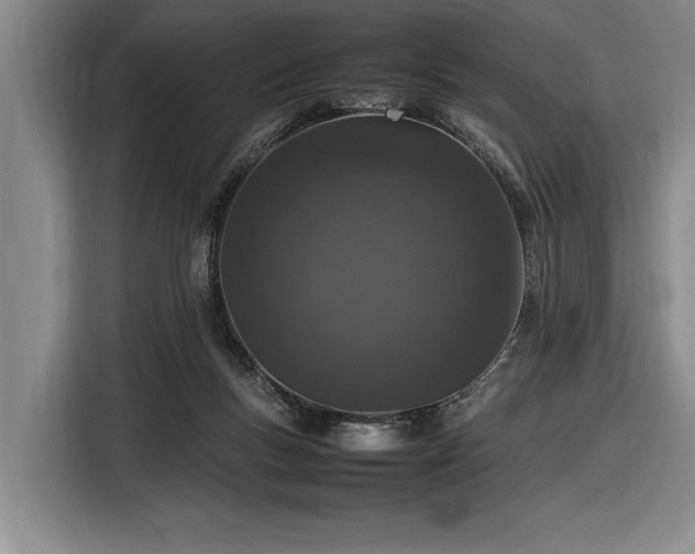 X0000116880167200912221432
