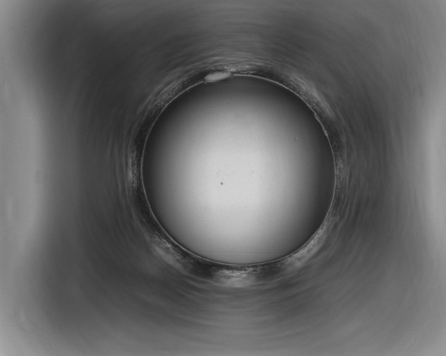 X0000116880170200912221432