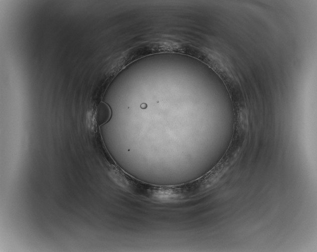 X0000116880177200912221433