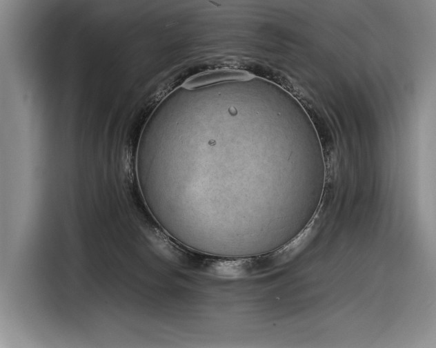 X0000116880178200912221433