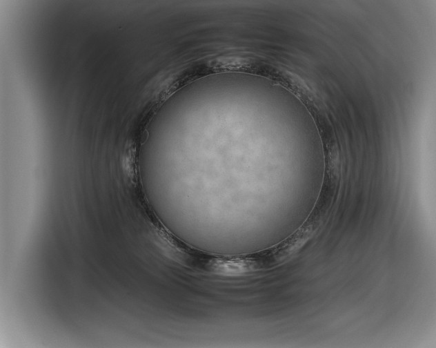 X0000116880181200912221433