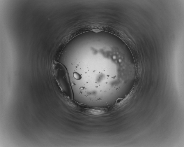 X0000116880183200912221433