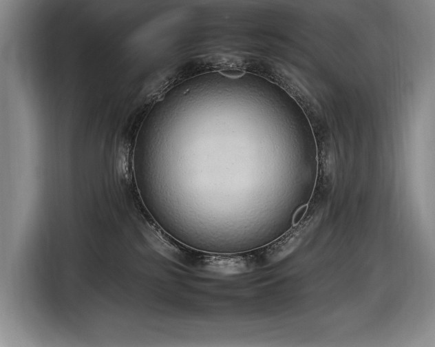 X0000116880185200912221433